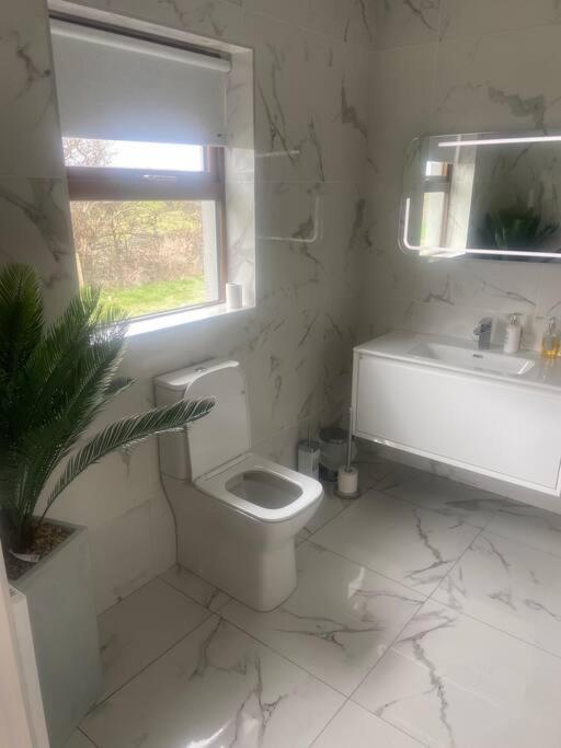 ווסטפורט Modern Apartment At Croagh Patrick מראה חיצוני תמונה